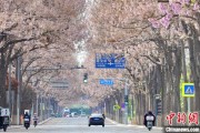 汶上共建“花园城市” 北京这场议政会“百花齐放”